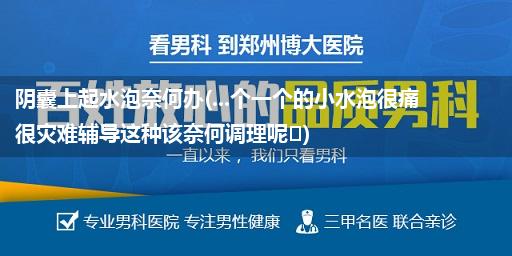 阴囊上起水泡奈何办(...个一个的小水泡很痛很灾难辅导这种该奈何调理呢)