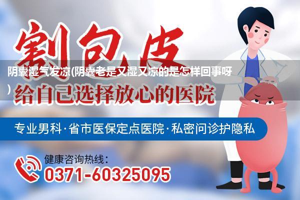 阴囊湿气发凉(阴囊老是又湿又凉的是怎样回事呀)