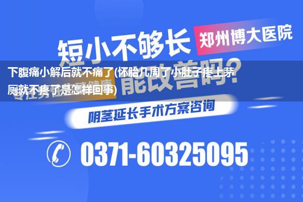 下腹痛小解后就不痛了(怀胎几周了小肚子疼上茅厕就不疼了是怎样回事)