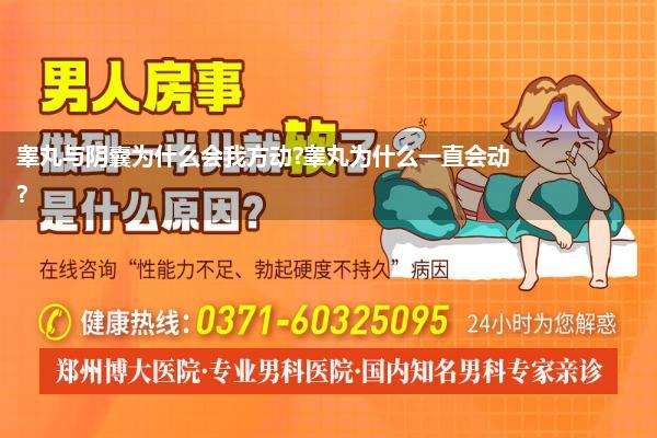 睾丸与阴囊为什么会我方动?睾丸为什么一直会动?